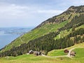 A view of the coniferous forests and pastures on the slopes of Rigi mountain Royalty Free Stock Photo