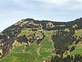 A view of the coniferous forests and pastures on the slopes of Rigi mountain Royalty Free Stock Photo