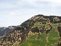 A view of the coniferous forests and pastures on the slopes of Rigi mountain Royalty Free Stock Photo