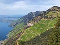 A view of the coniferous forests and pastures on the slopes of Rigi mountain Royalty Free Stock Photo