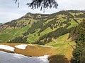 A view of the coniferous forests and pastures on the slopes of Rigi mountain Royalty Free Stock Photo