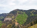 A view of the coniferous forests and pastures on the slopes of Rigi mountain Royalty Free Stock Photo