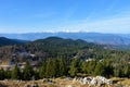 View of coniferous spruce forest covered Jelovica plateau Royalty Free Stock Photo