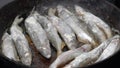 View of cooking frying capelin fish in iron pan. Grilled caplin fish - traditional Chinese dish, can be enjoyed as an