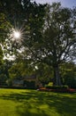 View of Cooks\' Cottage at Fitzroy Gardens in Melbourne