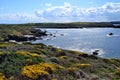 View of Coscia di Donna coast