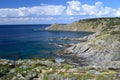 View of Coscia di Donna coast