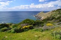 View of Coscia di Donna coast