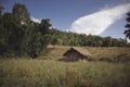 View of country farmer straw hut and meadow in forest