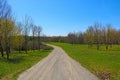 View of a country road lined with trees and green grass Royalty Free Stock Photo