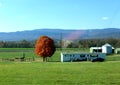 View countryside from car window