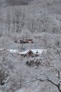 View of countryside cottages surrounded with bare snow-covered trees Royalty Free Stock Photo