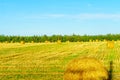 Countryside and haystacks near Borden-Carleton, PEI