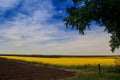 View of countryside with rapeseed field ploughed field forest Royalty Free Stock Photo