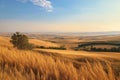 a view of the countryside, with rolling hills and golden fields Royalty Free Stock Photo