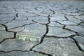 The view of the cracked earth in one of the cracks in the dollar stretching into the distance Royalty Free Stock Photo