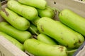 opo squash at farmers market Royalty Free Stock Photo