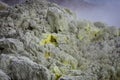 view of crater on active mountain with sulfur gas come out from stone. Beautiful landscape of mount Papandayan. Papandayan Royalty Free Stock Photo