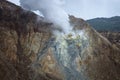 view of crater on active mountain with sulfur gas come out from stone. Beautiful landscape of mount Papandayan. Papandayan Royalty Free Stock Photo