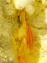 View on the crater of the Ijen volcano in Indonesia, a sulfur mine and toxic gaz Royalty Free Stock Photo