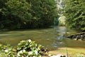 View of Crisu Repede river in Romania