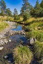 Crni Rzav river on Zlatibor mountain in Serbia