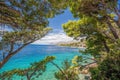View of Croatian coast with pine trees in Brela, Makarska, Dalmatia, Croatia Royalty Free Stock Photo