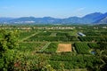 View of crop fields