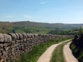 View of a a curved narrow country road surrounded by stone walls and flowers in west yorkshire countryside surrounded grass Royalty Free Stock Photo