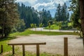 View of curved road surrounded by trees at Hija glamping site at Nova Vas in Slovenia on a sunny day