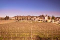 View of Custoza surrounded by the vineyards.