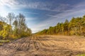 View on the cut down trees in the forest