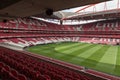 View of Da Luz Stadium: Red Empty Seating and Green Soccer Pitch