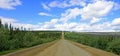 View of Dalton Highway with oil pipeline, leading from Valdez, Fairbanks to Prudhoe Bay, Alaska, USA