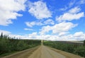 View of Dalton Highway with oil pipeline, leading from Valdez, Fairbanks to Prudhoe Bay, Alaska, USA Royalty Free Stock Photo