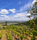 View of the Danube of Vienna from Kahlenbergerdorf Royalty Free Stock Photo