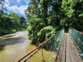 View of Danum river and suspension bridge in Danum valley rain forest Lahad Datu Royalty Free Stock Photo