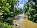 View of Danum river in Danum valley rain forest Lahad Datu Royalty Free Stock Photo