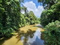 View of Danum river in Danum valley rain forest Lahad Datu Royalty Free Stock Photo