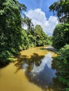 View of Danum river in Danum valley rain forest Lahad Datu Royalty Free Stock Photo