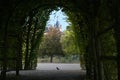 View through a dark arcade from hornbeam to the tower of the Schwerin castle, selected focus