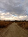 View of dark clouds above the rough path taken in the evening.