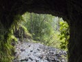 View from dark water duct tunnel through running water to lush jungle at hiking trail Los Tilos at mysterious laurel