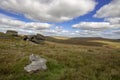 View of Dartmoor from Beardown Tors Royalty Free Stock Photo