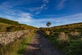 View of Dartmoor from the path to Wistmans Wood