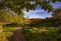 View of Dartmoor from the path to Wistmans Wood