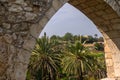 view of the date grove from the window of the old castle 3 Royalty Free Stock Photo