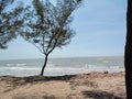 the view of the day on the cool beach