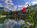 Weiyuan Lake or Lake Ad Excellentiam, University, Hong Kong