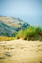 View of Dead Dunes, Nida, Lithuania Royalty Free Stock Photo